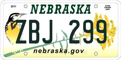 NE license plate ZBJ299