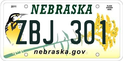 NE license plate ZBJ301