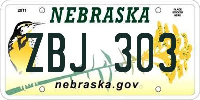 NE license plate ZBJ303