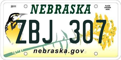 NE license plate ZBJ307