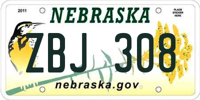 NE license plate ZBJ308