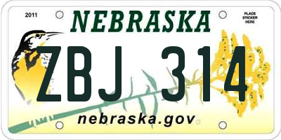 NE license plate ZBJ314