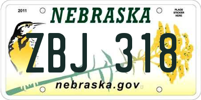 NE license plate ZBJ318