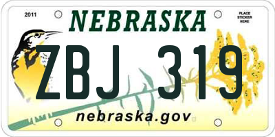 NE license plate ZBJ319