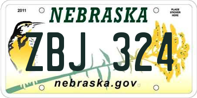 NE license plate ZBJ324
