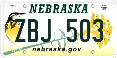 NE license plate ZBJ503