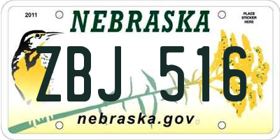 NE license plate ZBJ516