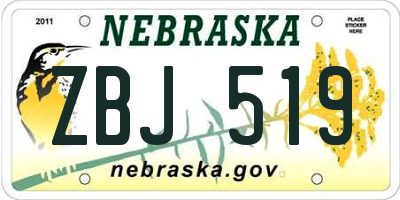 NE license plate ZBJ519