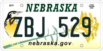 NE license plate ZBJ529