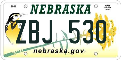 NE license plate ZBJ530