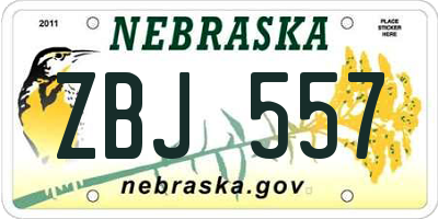 NE license plate ZBJ557