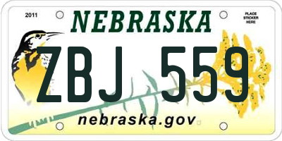 NE license plate ZBJ559