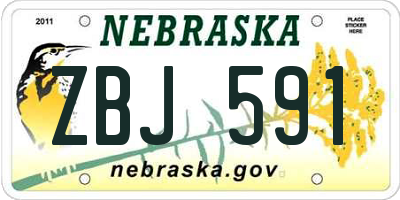 NE license plate ZBJ591