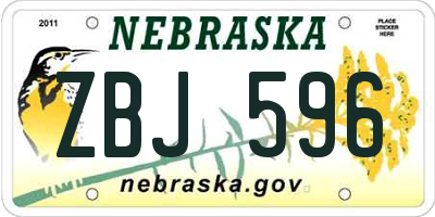NE license plate ZBJ596