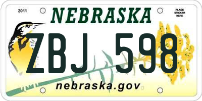 NE license plate ZBJ598