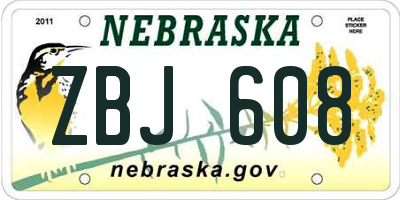 NE license plate ZBJ608