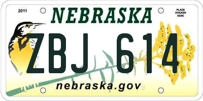 NE license plate ZBJ614