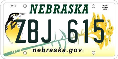 NE license plate ZBJ615