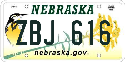 NE license plate ZBJ616