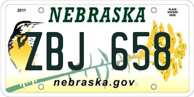NE license plate ZBJ658