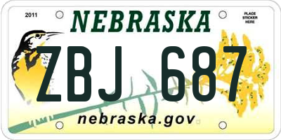NE license plate ZBJ687
