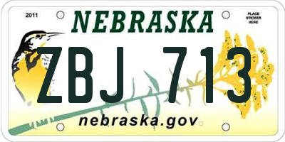 NE license plate ZBJ713
