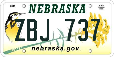 NE license plate ZBJ737
