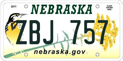 NE license plate ZBJ757