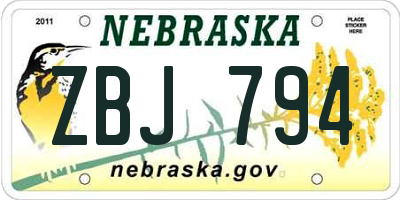 NE license plate ZBJ794