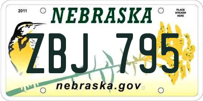 NE license plate ZBJ795