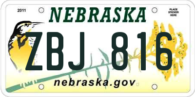 NE license plate ZBJ816