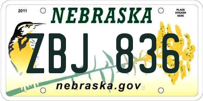 NE license plate ZBJ836