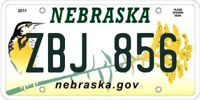 NE license plate ZBJ856