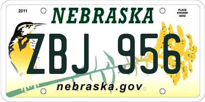 NE license plate ZBJ956