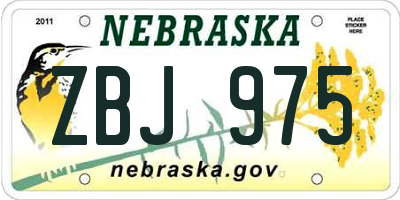 NE license plate ZBJ975
