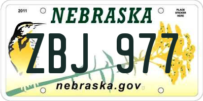 NE license plate ZBJ977