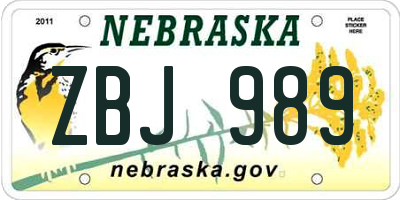 NE license plate ZBJ989
