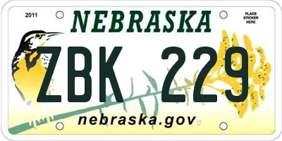 NE license plate ZBK229