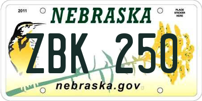 NE license plate ZBK250
