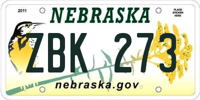 NE license plate ZBK273