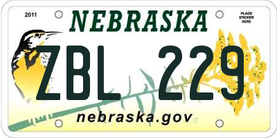 NE license plate ZBL229
