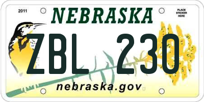 NE license plate ZBL230