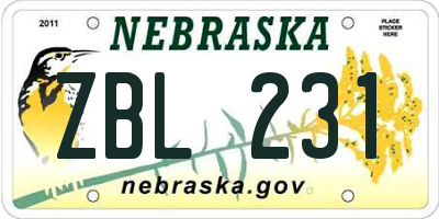 NE license plate ZBL231