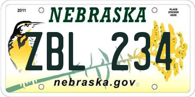 NE license plate ZBL234