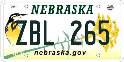NE license plate ZBL265