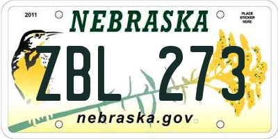 NE license plate ZBL273