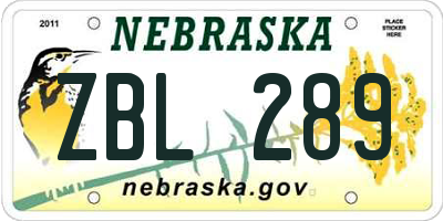NE license plate ZBL289