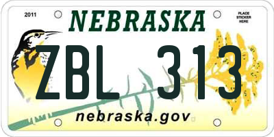 NE license plate ZBL313