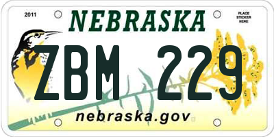 NE license plate ZBM229