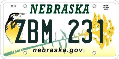 NE license plate ZBM231